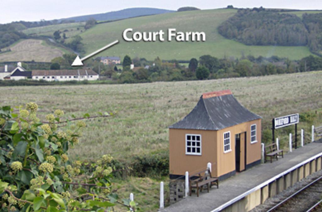 Court Farm Holiday Bungalows Ltd Watchet Ngoại thất bức ảnh